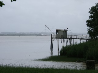 DSCF0195